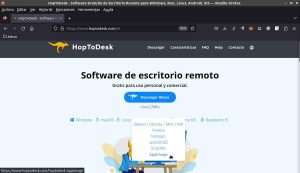 opToDesk Free Download Secure Remote Desktop Access Tool